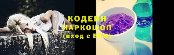 индика Абинск