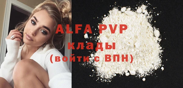 индика Абинск