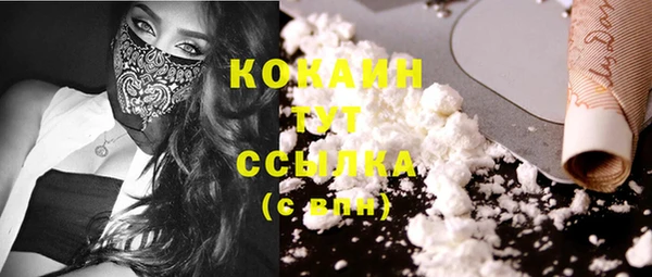 индика Абинск