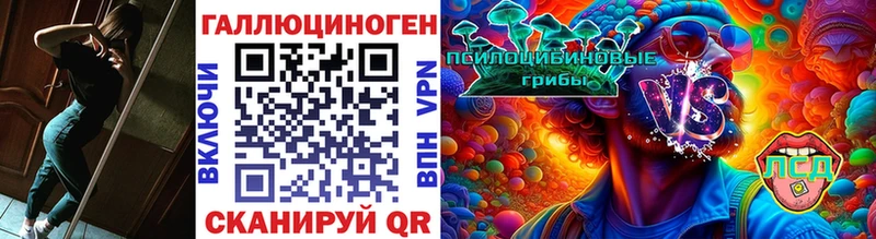купить   Александровск-Сахалинский  Псилоцибиновые грибы ЛСД 